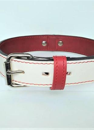 Кожаный ошейник для собак "lockdog" бело-красный s, мелкие1 фото