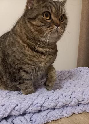 Плюшевый ковер, лежанка для кота или собаки