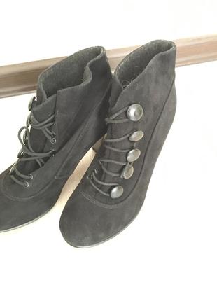 Aldo