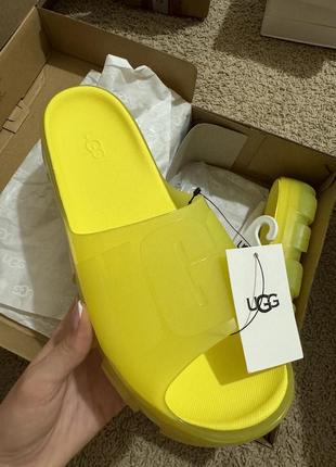 Тапочки тапочки ugg новые