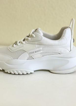Кросівки з колекції steve madden 25 см