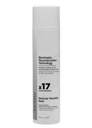 Raywell molecular rebuilding mask x17 маска глибокого живлення для всіх типів волосся