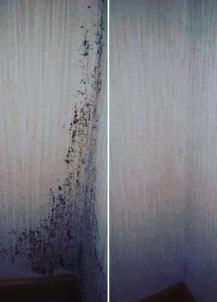 Засіб від плісняви