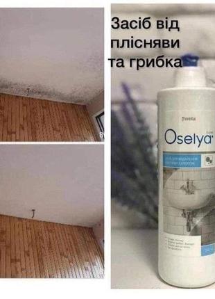 Средство от плесени