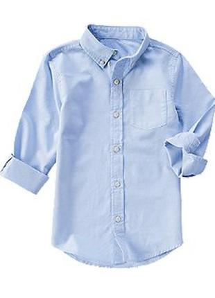 Рубашка crazy 8