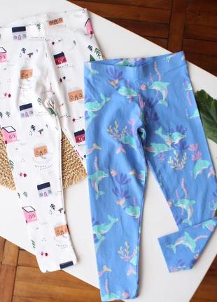 Лосіни легінси в принт