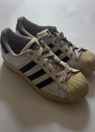 Кроссовки adidas superstar