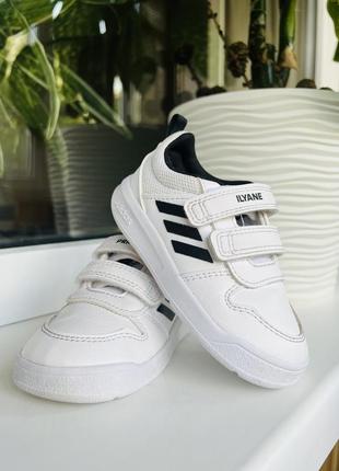 Кросівки adidas original