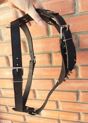 Шлейка воротник с шипами из натуральной кожи "lockdog" размеры   m l xl6 фото