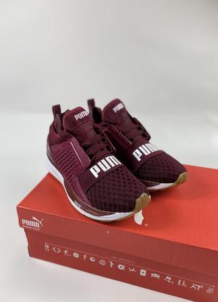 Кроссовки puma ignite, adidas ozelia, nike air max, nike air force 1, nike air jordan 1, nike zoom fly, nike vomero 5, nike cortez, nike m2k tekno
