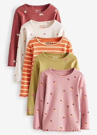 Набор 5 леггинсов некст2 фото