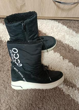 Сапожки экко