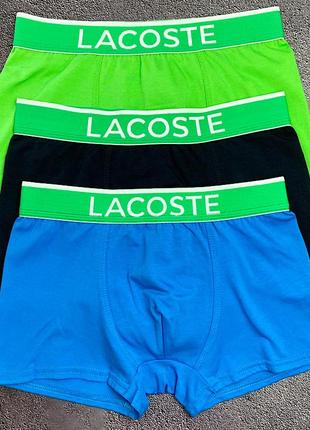Чоловічі труси боксери - набір в стилі lacoste 3 шт. високої якості