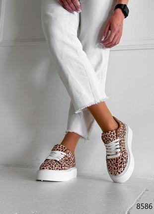 Леопардові шкіряні нубукові кросівки кросівки кеди на білій високій товстій підвищеній...