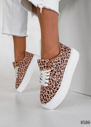 Леопардові шкіряні нубукові кросівки кросівки кеди на білій високій товстій підвищеній...
