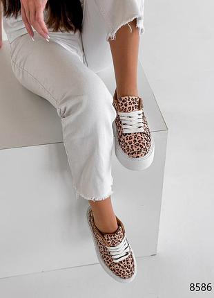 Леопардові шкіряні нубукові кросівки кросівки кеди на білій високій товстій підвищеній...