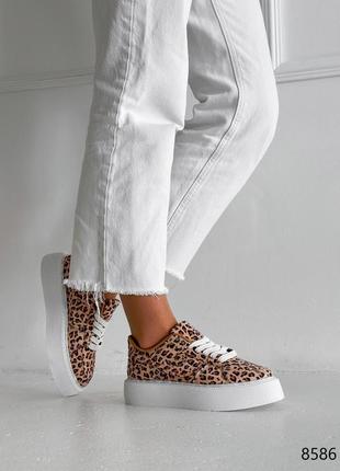 Леопардові шкіряні нубукові кросівки кросівки кеди на білій високій товстій підвищеній...