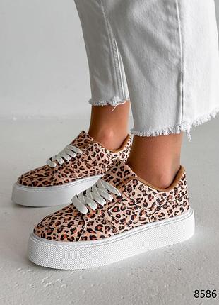 Леопардові шкіряні нубукові кросівки кросівки кеди на білій високій товстій підвищеній...