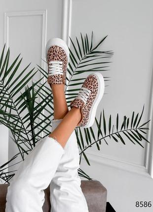 Леопардові шкіряні нубукові кросівки кросівки кеди на білій високій товстій підвищеній...