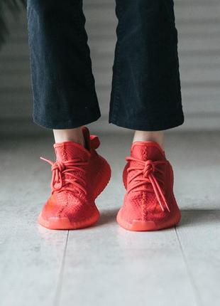 Мужские и женские кроссовки  adidas yeezy boost 350 v2 red2 фото