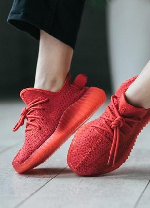 Мужские и женские кроссовки  adidas yeezy boost 350 v2 red1 фото