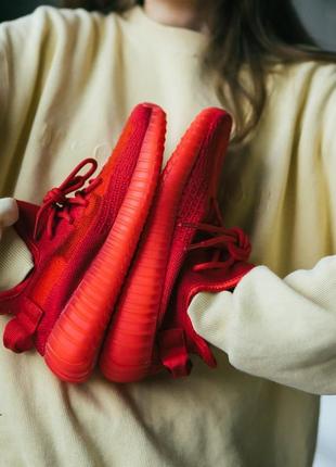 Мужские и женские кроссовки  adidas yeezy boost 350 v2 red7 фото