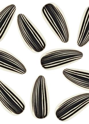 Джибітси для кроксів «набір сємки 10 шт.»