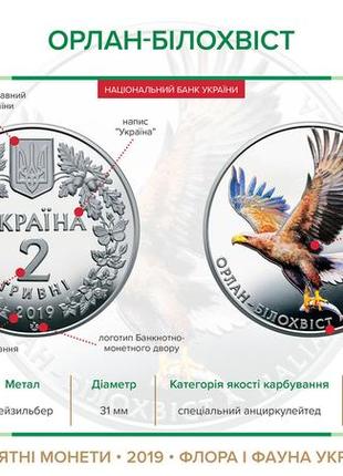 Монета нбу "орлан-білохвіст"3 фото