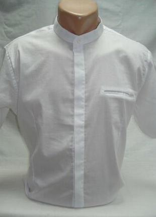 Шведка чоловіча біла,стійка комір noseda розм.s