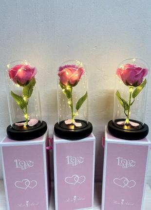 Троянда в колбі під скляним куполом стабілізована квітка pink з підсвіткою велика4 фото