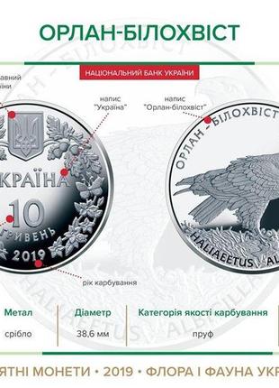 Срібна монета нбу "орлан-білохвіст"5 фото