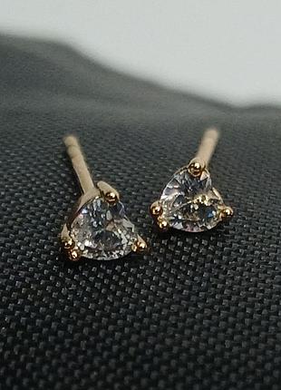 Сережки гвоздики