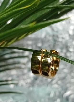 Сережки кільця