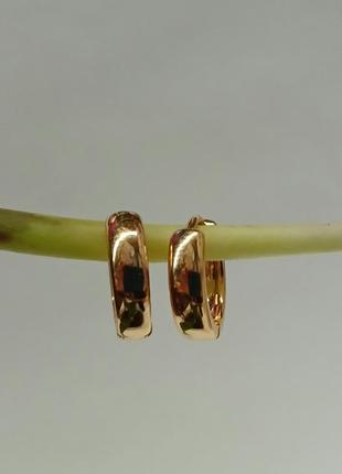 Сережки кільця