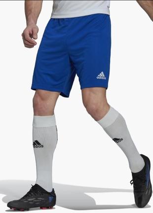 Adidas шорты entrada 22  размер s