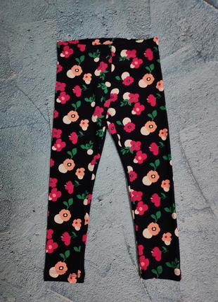 Коттоновые лосины на рост 104 см