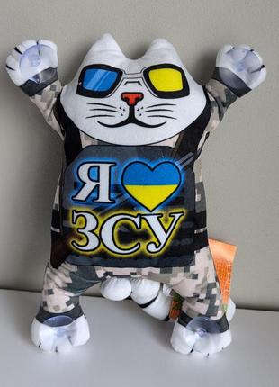 Кот саймна. котик в машину