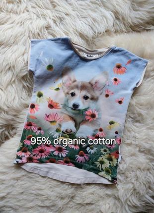 ❤️🐶🩷 милая футболочка цуцик