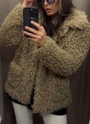 Шуба тедді zara