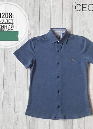 Тенниска cegisa (туречица) 208 синий р.9 лет