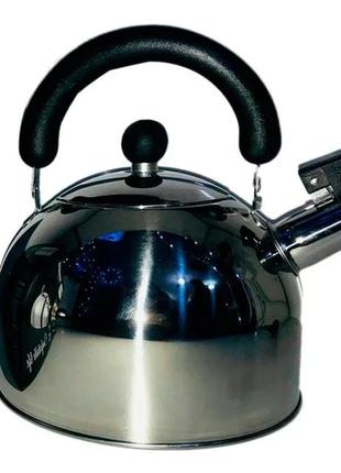 Чайник для електричних і газових плит rainberg rb-626 3l сталевий1 фото