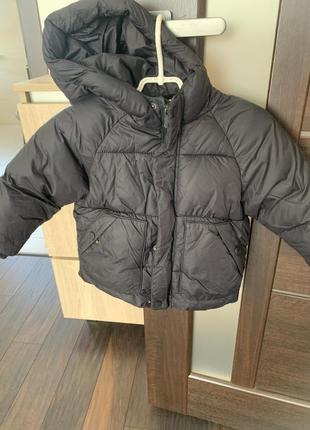 Курточка зара розмір 86
