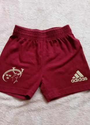 Шорти для хлопчика adidas