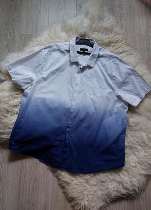 💙🌟❤️ мега красивая тенниска/рубашка/шведка в мелкий горошек и градиент кипящей воды