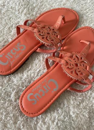 Шльопки лаковані