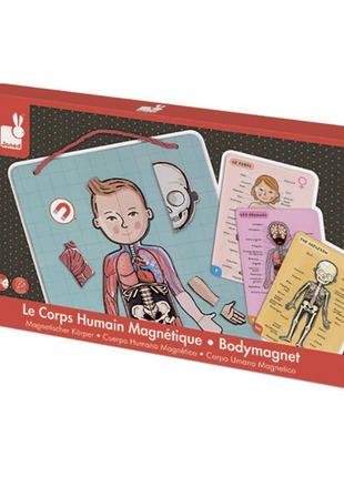 Игровой магнитный набор janod "тело человека" j05491