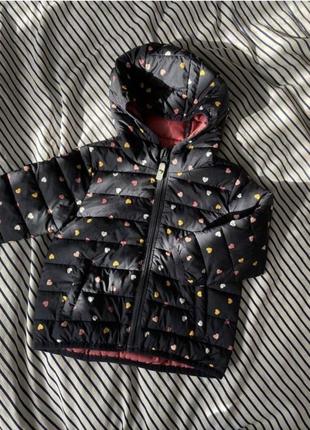 Куртка с капюшоном, курточка topomini