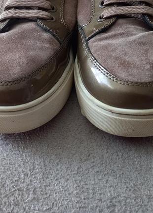 Брендовые кроссовки royaums. италия.