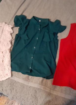 Блузки жіночі