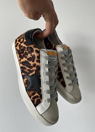 Lux кеди leo print